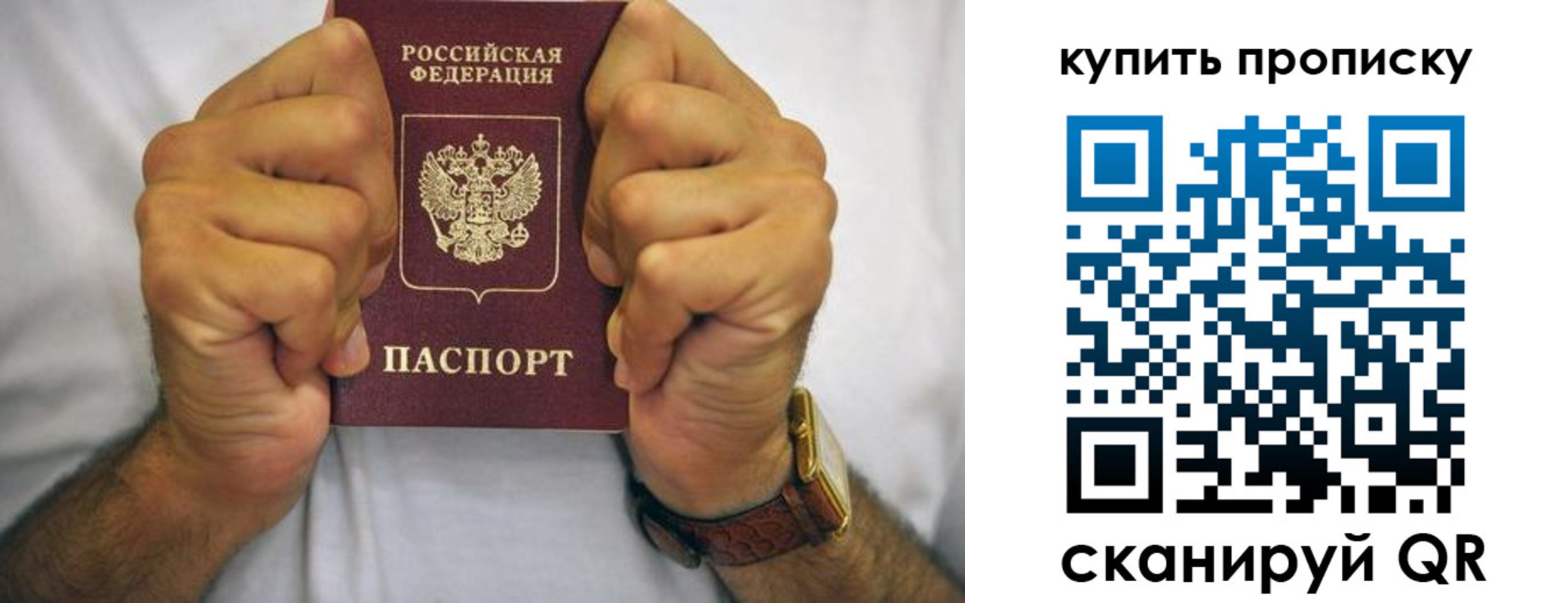 пропишу в квартире в Курске